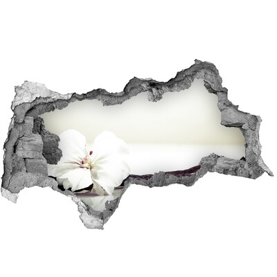 Samoprzylepna dziura naklejka Kwiatowy widok przez ścianę