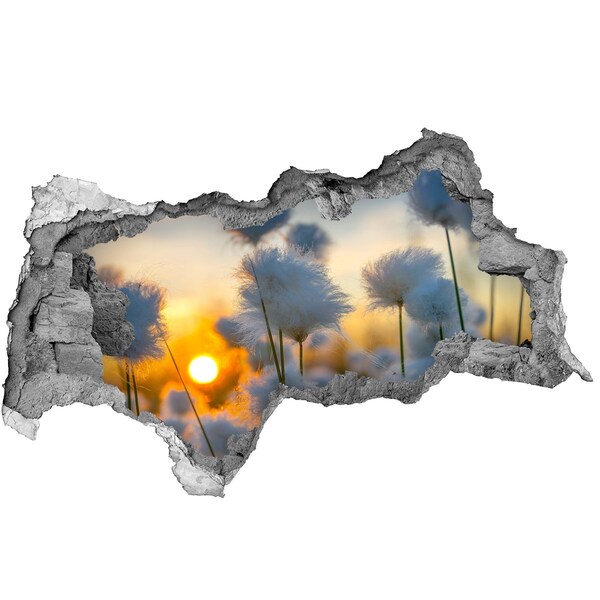 Samoprzylepna dziura naklejka Kwiaty przy zachodzie słońca