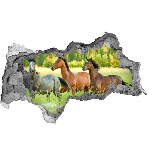 3D sticker gat in stenen muur Rennende paarden in de natuur