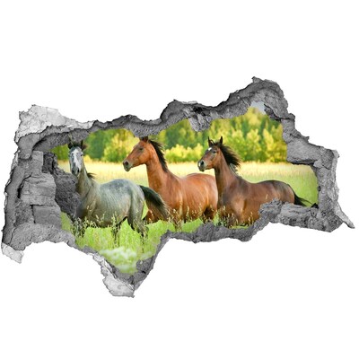 3D sticker gat in stenen muur Rennende paarden in de natuur