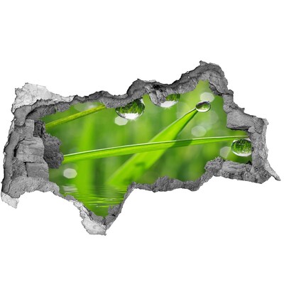 3D sticker gat in stenen muur Groene oase met waterdruppels