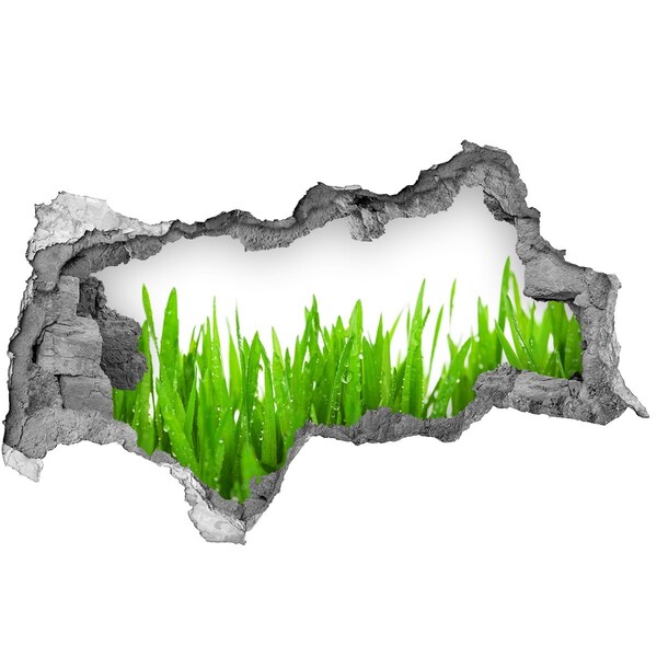Samoprzylepna dziura naklejka beton Zielona łąka przez dziurę w ścianie