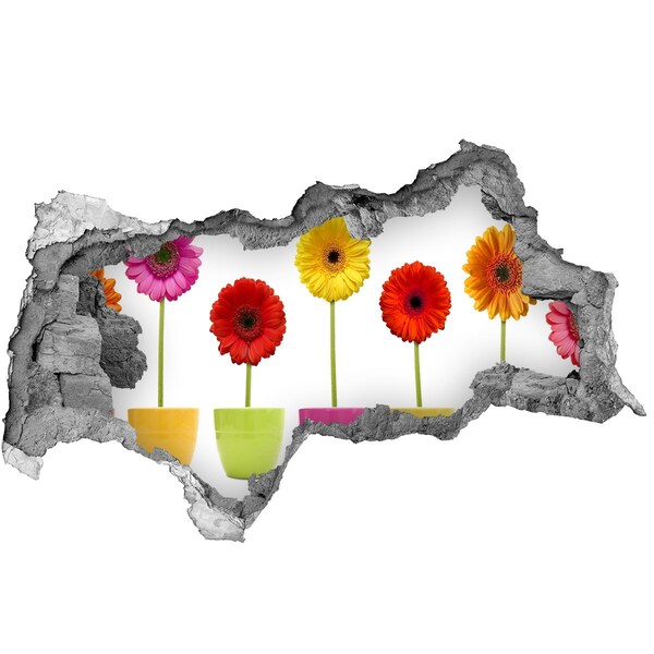 Samoprzylepna dziura na ścianę Kwiaty w doniczkach przez dziurę w ścianie