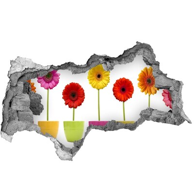 plakfolie tegels Bloemen in potten door een gat in de muur