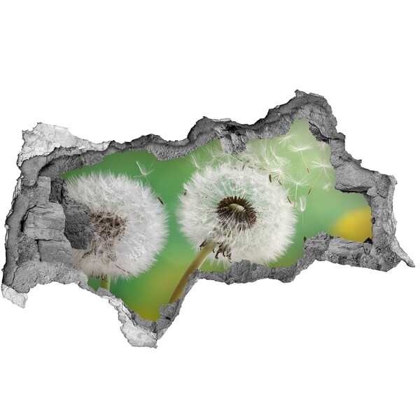 Wandsticker 3D doorkijk Paardenbloemen op een groene achtergrond