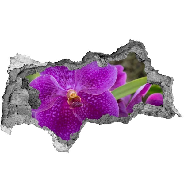 Samoprzylepna dziura naklejka Kwiat orchidei w dziurze w ścianie