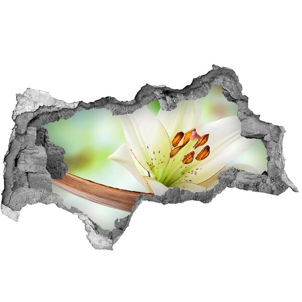 Zelfklevende 3D wandsticker illusie Een bloemenparadijs in beton.
