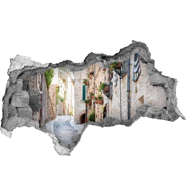 naklejka fototapeta 3D na ścianę Urokliwe miasteczko we Włoszech