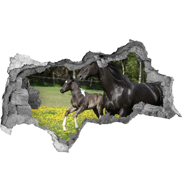 Wandsticker 3D doorkijk Paarden in de wei