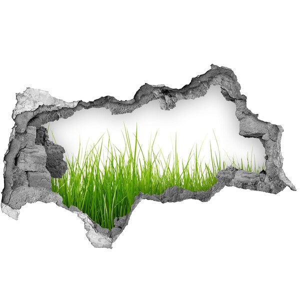 tegelstickers badkamer Een groene weide achter de muur