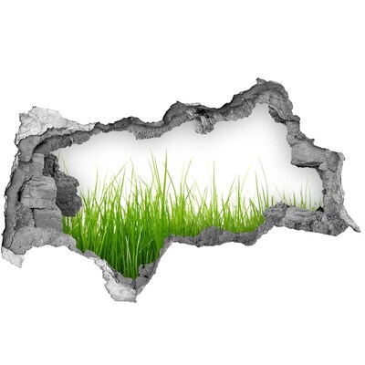 tegelstickers badkamer Een groene weide achter de muur