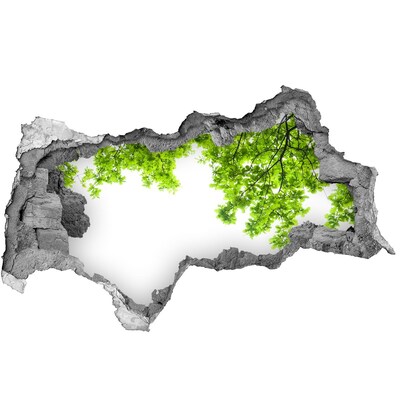 plakfolie tegels Een groene oase achter de muur