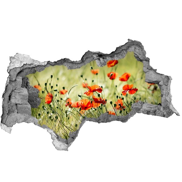 badkamer tegelstickers Een bloemenparadijs tussen de klaprozen