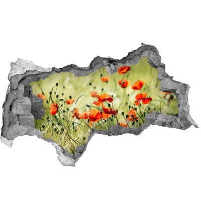 badkamer tegelstickers Een bloemenparadijs tussen de klaprozen