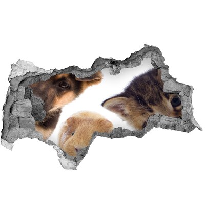 tegelfolie Dieren van buiten de muur