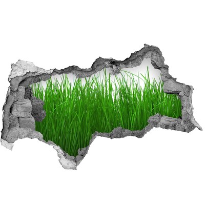 plakfolie tegels Groene weide door een gat in de muur