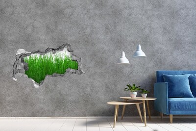 Samoprzylepna dziura na ścianę naklejka Zielona łąka przez dziurę w ścianie