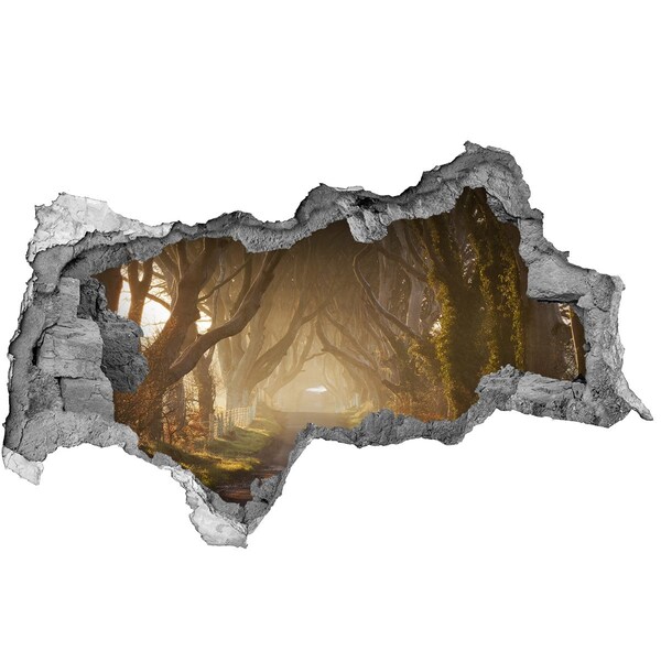 plakfolie tegels Een pad tussen de bomen