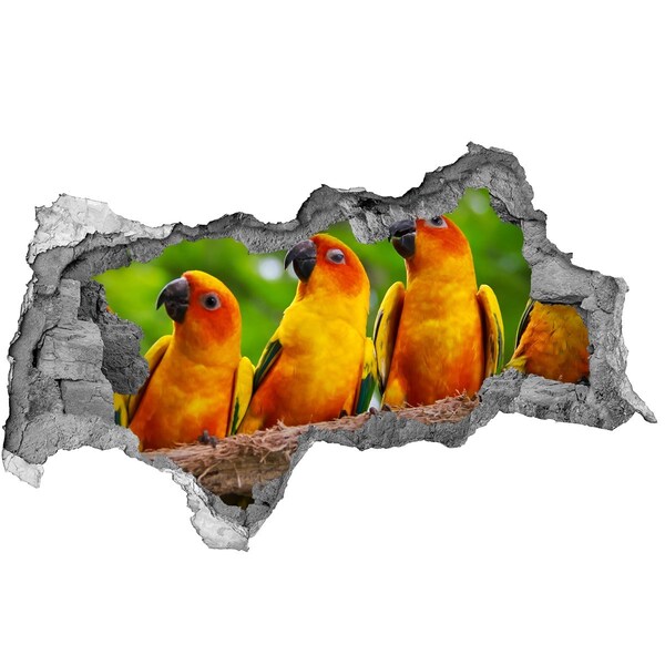 3D sticker gat in stenen muur Tropische papegaaien in een gat in de muur