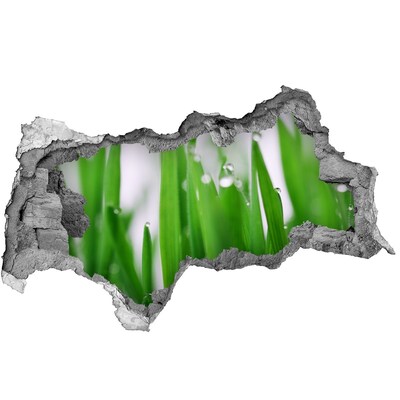 3D sticker gat in stenen muur Groene weide met waterdruppels