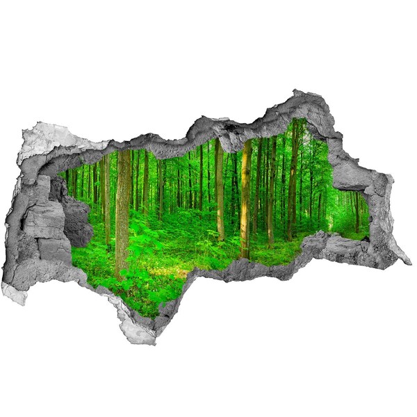 3D sticker gat in stenen muur Groen bos in een gat in de muur
