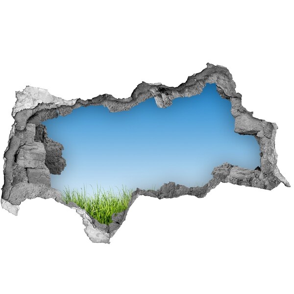 Wandsticker 3D doorkijk Groene weide onder een blauwe hemel