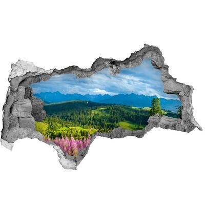 3D muursticker gescheurde muur Berglandschap met bloemen