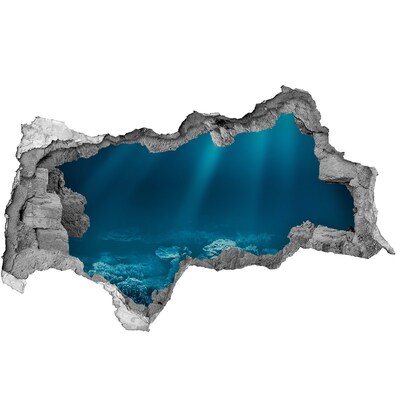 3D sticker gat in stenen muur De onderwaterwereld van koralen