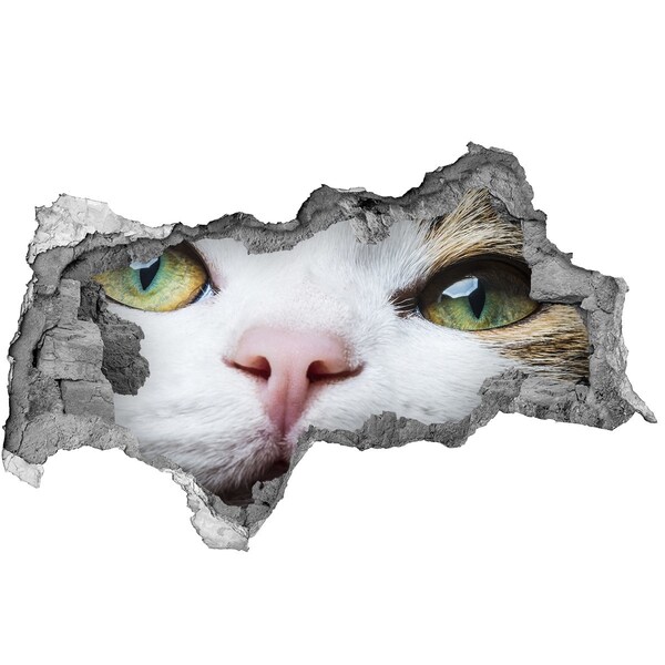 Dziura 3d fototapeta naklejka Kot w ścianie
