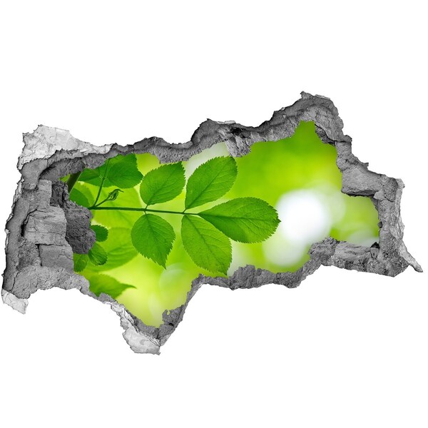 Samoprzylepna dziura na ścianę Zielona oaza w betonie