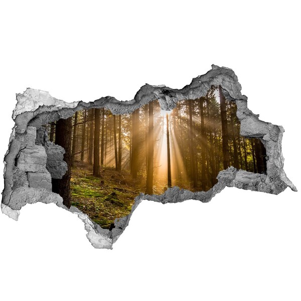 3D sticker gat in stenen muur Een oase van licht in het bos