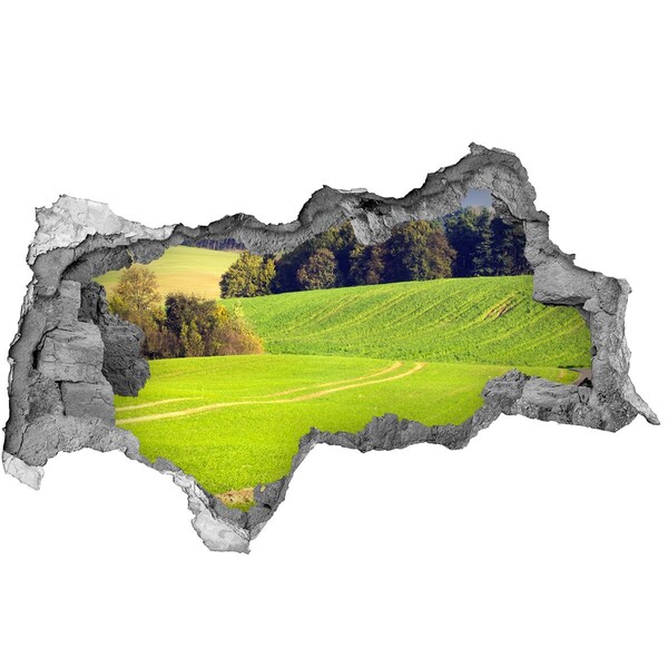 naklejka fototapeta 3D widok Zielona łąka za murem