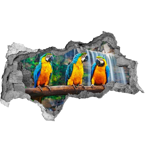 3D muursticker gescheurde muur Paradijspapegaaien bij de waterval