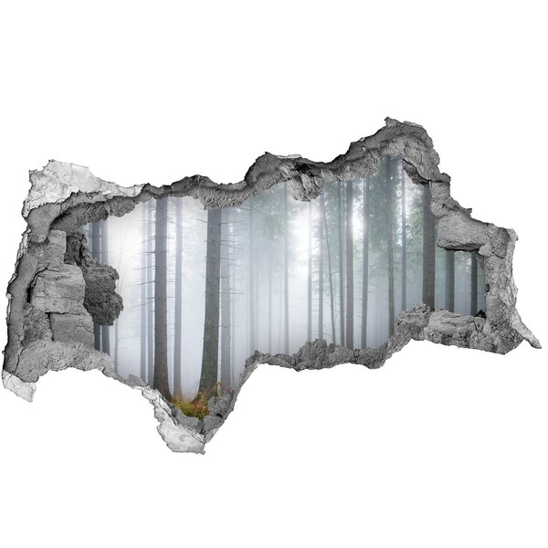 Wandsticker 3D doorkijk Nevelbos
