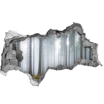 naklejka fototapeta 3D widok Mglisty las