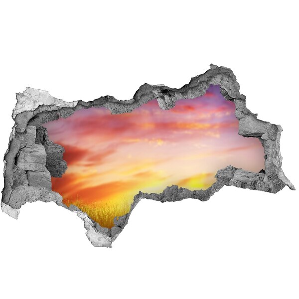 Wandsticker 3D doorkijk Zonsondergang boven de weide
