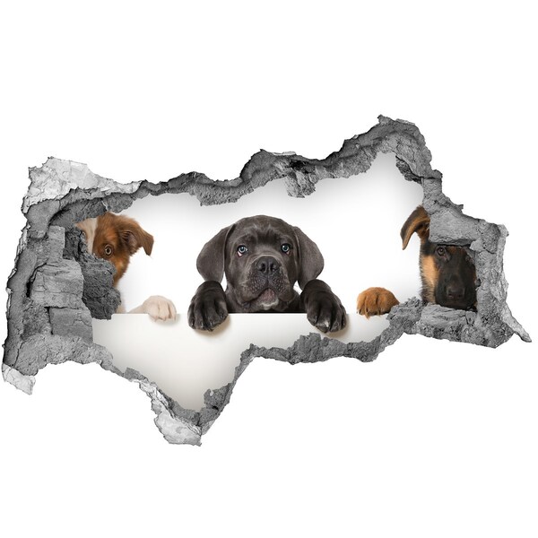 3D muursticker gescheurde muur Lief puppy'tje van achter de muur