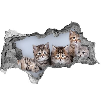 3D muursticker gescheurde muur Kittens in een gat in de muur