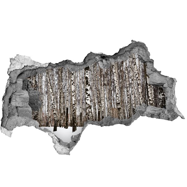 Zelfklevende 3D wandsticker illusie Winterberkenbos