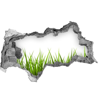 Samoprzylepna dziura naklejka beton Zielona łąka za ścianą