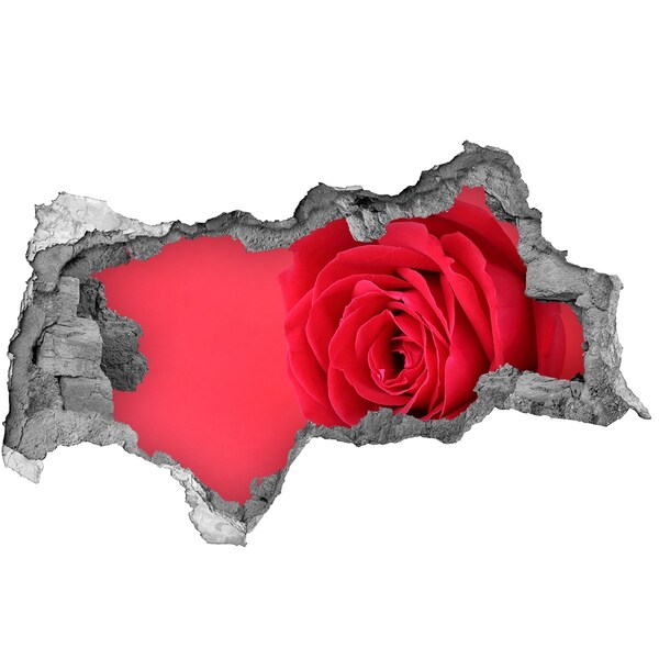 3D muursticker gescheurde muur Bloemenillusie in beton