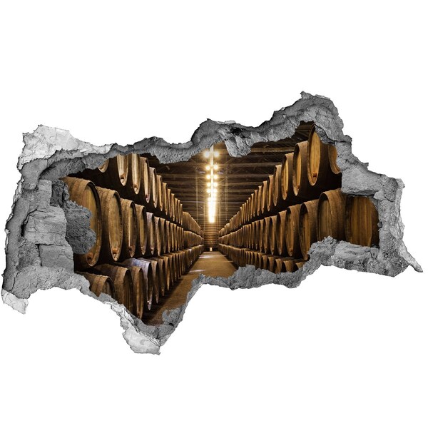 Fototapeta dziura na ścianę 3d Wnętrze winiarni z beczkami