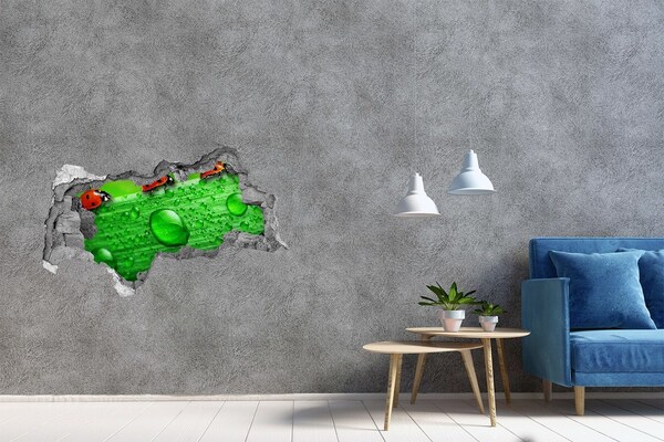 3D sticker gat in stenen muur Een dauwdruppel op een blad