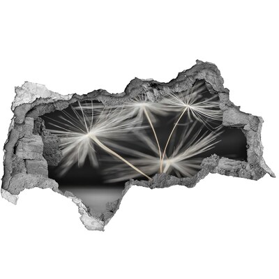 Samoprzylepna dziura naklejka Kwiaty dmuchawca w betonie