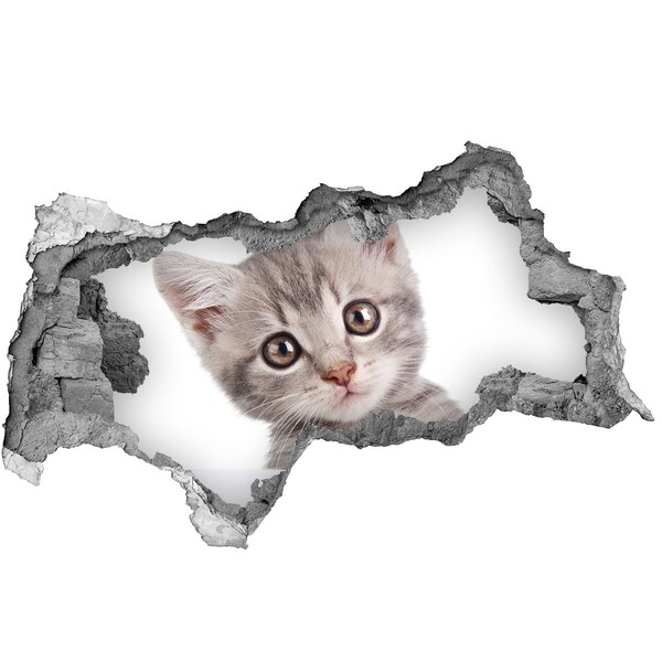 3D sticker gat in stenen muur Kitten in een gat in de muur