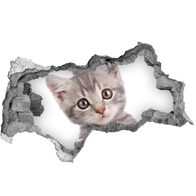 3D sticker gat in stenen muur Kitten in een gat in de muur