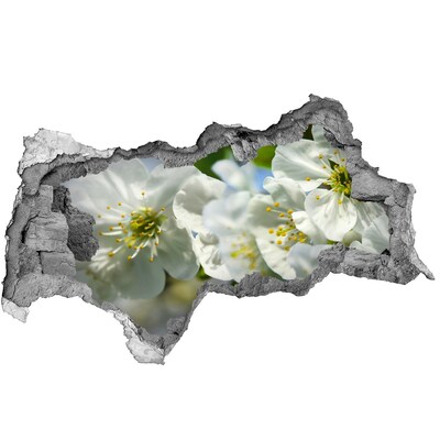 3D sticker gat in stenen muur Een bloemenparadijs achter de muur.