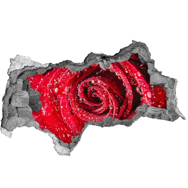 3D sticker gat in stenen muur Bloemenoase in beton