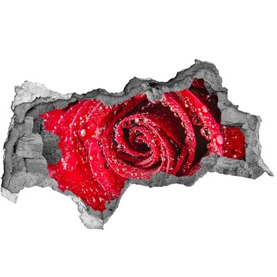 3D sticker gat in stenen muur Bloemenoase in beton