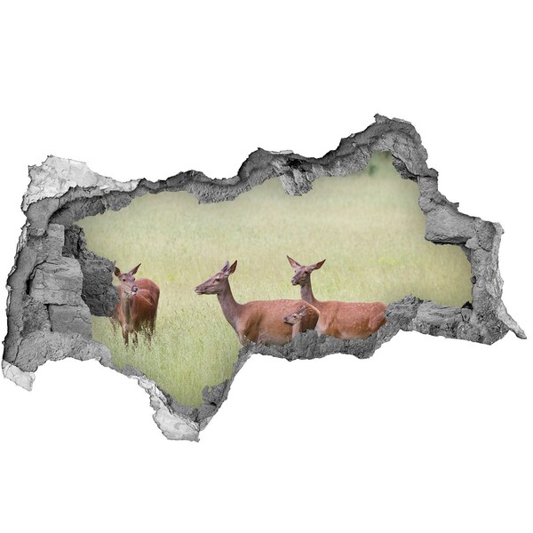 3D sticker gat in stenen muur Tropische hibiscustuin